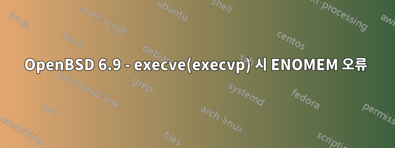 OpenBSD 6.9 - execve(execvp) 시 ENOMEM 오류