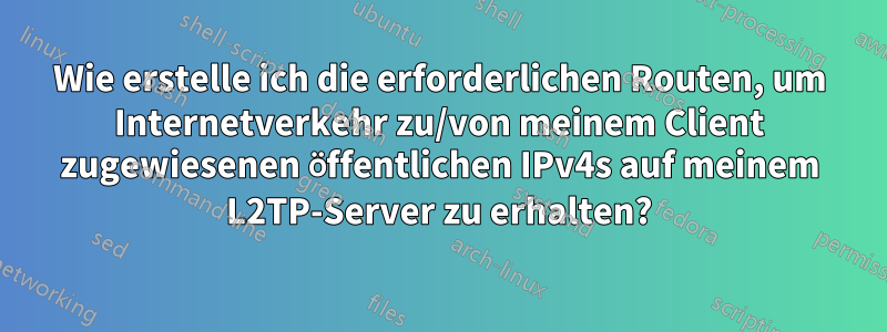 Wie erstelle ich die erforderlichen Routen, um Internetverkehr zu/von meinem Client zugewiesenen öffentlichen IPv4s auf meinem L2TP-Server zu erhalten?