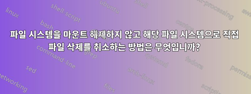 파일 시스템을 마운트 해제하지 않고 해당 파일 시스템으로 직접 파일 삭제를 취소하는 방법은 무엇입니까?