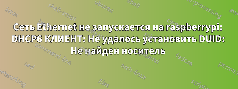 Сеть Ethernet не запускается на raspberrypi: DHCP6 КЛИЕНТ: Не удалось установить DUID: Не найден носитель