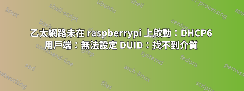 乙太網路未在 raspberrypi 上啟動：DHCP6 用戶端：無法設定 DUID：找不到介質