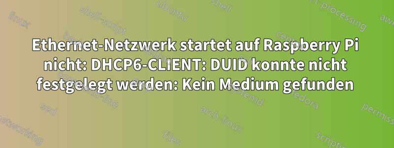 Ethernet-Netzwerk startet auf Raspberry Pi nicht: DHCP6-CLIENT: DUID konnte nicht festgelegt werden: Kein Medium gefunden