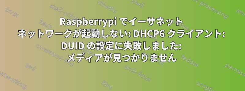 Raspberrypi でイーサネット ネットワークが起動しない: DHCP6 クライアント: DUID の設定に失敗しました: メディアが見つかりません