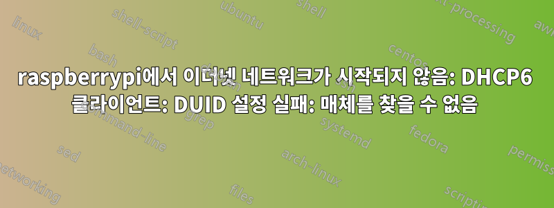 raspberrypi에서 이더넷 네트워크가 시작되지 않음: DHCP6 클라이언트: DUID 설정 실패: 매체를 찾을 수 없음