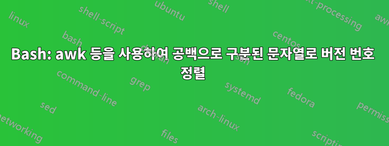 Bash: awk 등을 사용하여 공백으로 구분된 문자열로 버전 번호 정렬