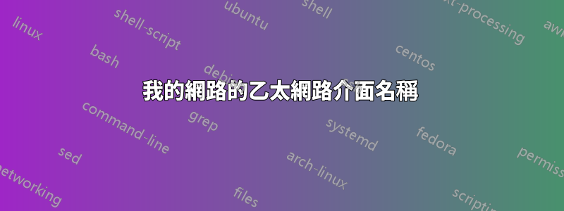 我的網路的乙太網路介面名稱