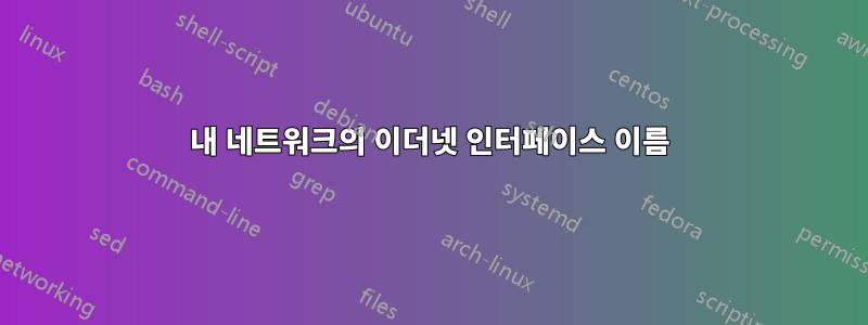 내 네트워크의 이더넷 인터페이스 이름