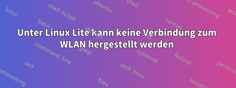 Unter Linux Lite kann keine Verbindung zum WLAN hergestellt werden