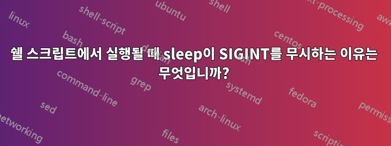 쉘 스크립트에서 실행될 때 sleep이 SIGINT를 무시하는 이유는 무엇입니까?