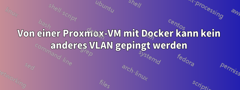 Von einer Proxmox-VM mit Docker kann kein anderes VLAN gepingt werden