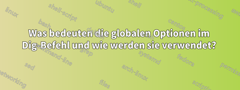 Was bedeuten die globalen Optionen im Dig-Befehl und wie werden sie verwendet?