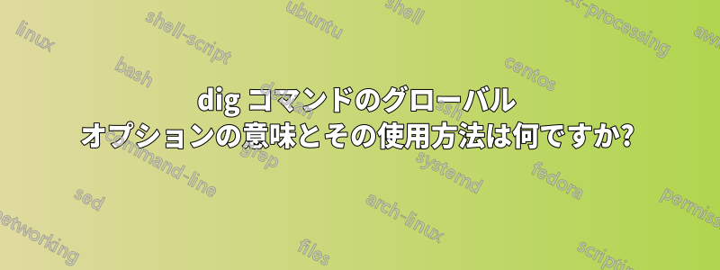 dig コマンドのグローバル オプションの意味とその使用方法は何ですか?