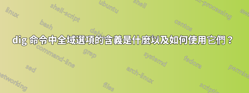 dig 命令中全域選項的含義是什麼以及如何使用它們？