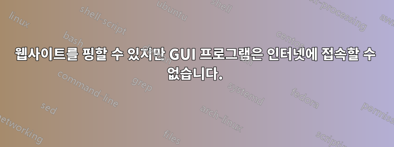 웹사이트를 핑할 수 있지만 GUI 프로그램은 인터넷에 접속할 수 없습니다.