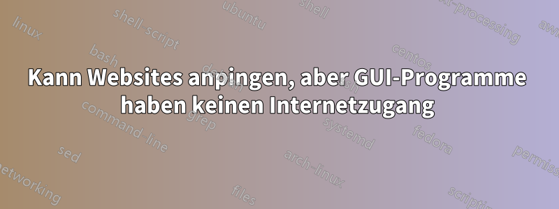 Kann Websites anpingen, aber GUI-Programme haben keinen Internetzugang