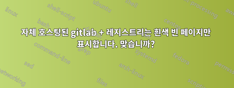 자체 호스팅된 gitlab + 레지스트리는 흰색 빈 페이지만 표시합니다. 맞습니까?