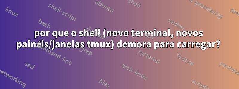 por que o shell (novo terminal, novos painéis/janelas tmux) demora para carregar?