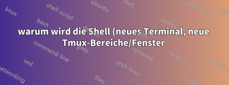 warum wird die Shell (neues Terminal, neue Tmux-Bereiche/Fenster) langsam geladen?