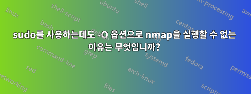 sudo를 사용하는데도 -O 옵션으로 nmap을 실행할 수 없는 이유는 무엇입니까?