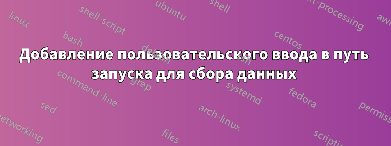 Добавление пользовательского ввода в путь запуска для сбора данных