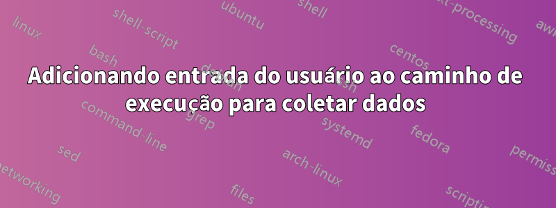 Adicionando entrada do usuário ao caminho de execução para coletar dados