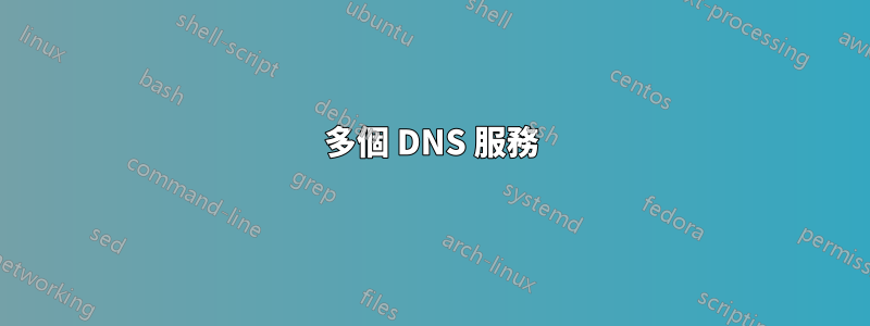 多個 DNS 服務