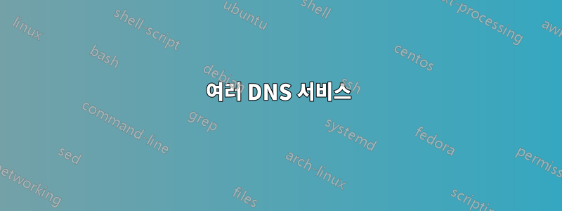 여러 DNS 서비스