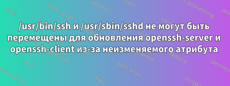 /usr/bin/ssh и /usr/sbin/sshd не могут быть перемещены для обновления openssh-server и openssh-client из-за неизменяемого атрибута