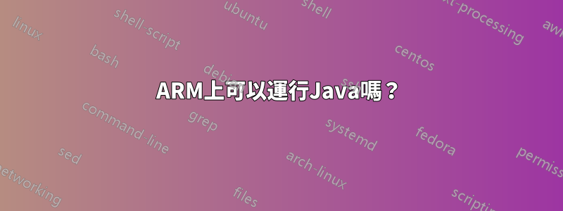 ARM上可以運行Java嗎？