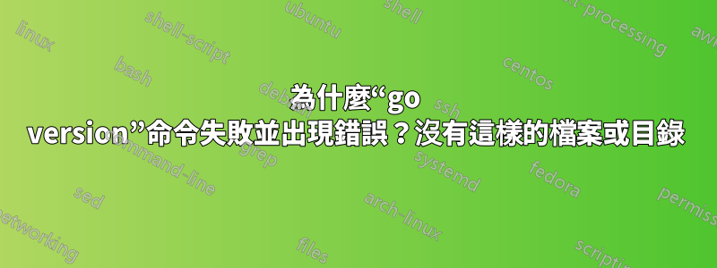 為什麼“go version”命令失敗並出現錯誤？沒有這樣的檔案或目錄