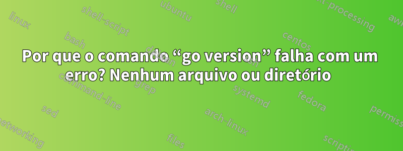 Por que o comando “go version” falha com um erro? Nenhum arquivo ou diretório 