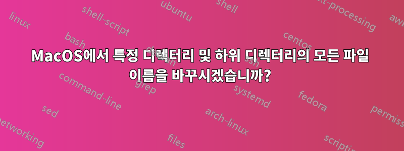 MacOS에서 특정 디렉터리 및 하위 디렉터리의 모든 파일 이름을 바꾸시겠습니까?