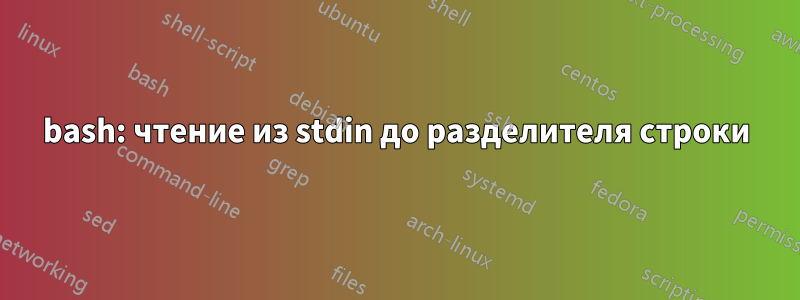 bash: чтение из stdin до разделителя строки