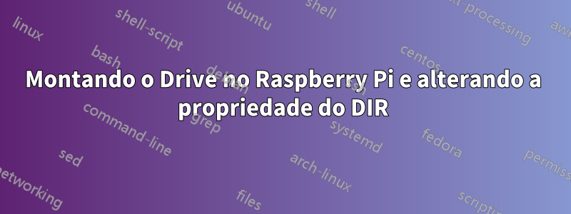 Montando o Drive no Raspberry Pi e alterando a propriedade do DIR