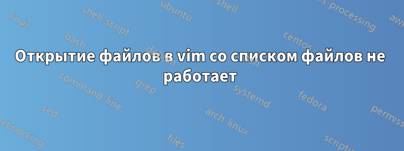 Открытие файлов в vim со списком файлов не работает