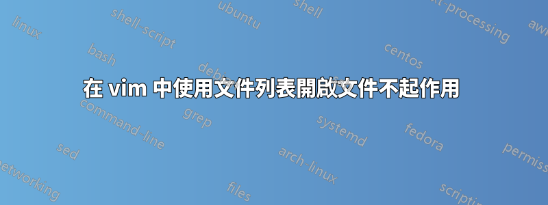 在 vim 中使用文件列表開啟文件不起作用