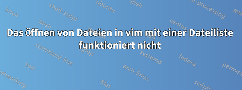 Das Öffnen von Dateien in vim mit einer Dateiliste funktioniert nicht