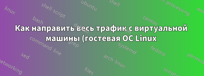 Как направить весь трафик с виртуальной машины (гостевая ОС Linux) на другую (гостевая ОС Win10)