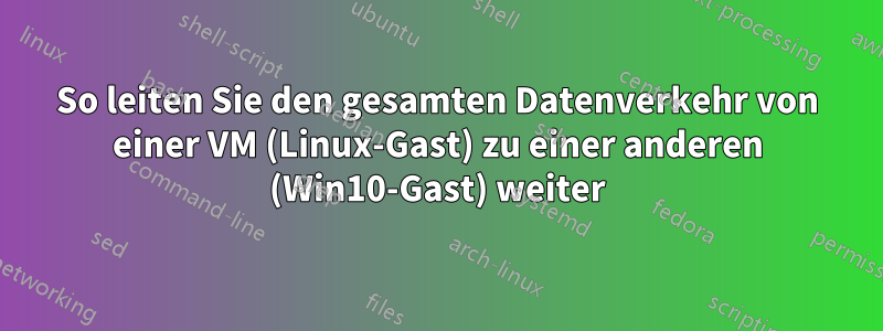 So leiten Sie den gesamten Datenverkehr von einer VM (Linux-Gast) zu einer anderen (Win10-Gast) weiter