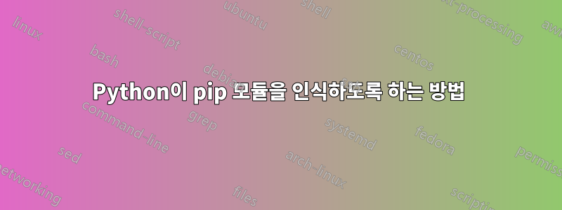 Python이 pip 모듈을 인식하도록 하는 방법