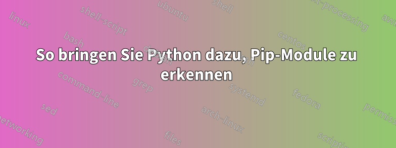 So bringen Sie Python dazu, Pip-Module zu erkennen