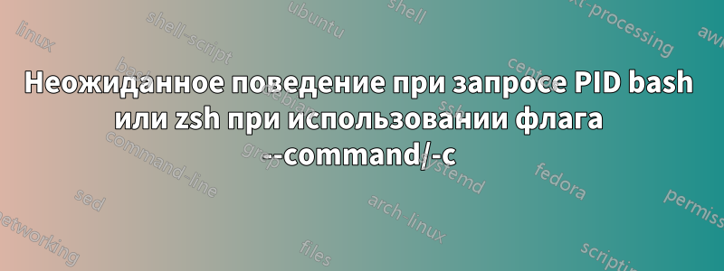 Неожиданное поведение при запросе PID bash или zsh при использовании флага --command/-c