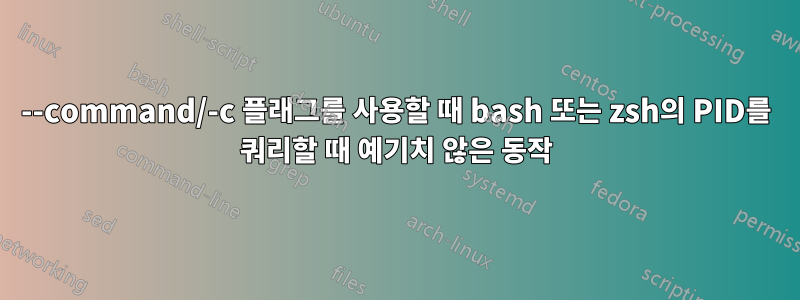 --command/-c 플래그를 사용할 때 bash 또는 zsh의 PID를 쿼리할 때 예기치 않은 동작