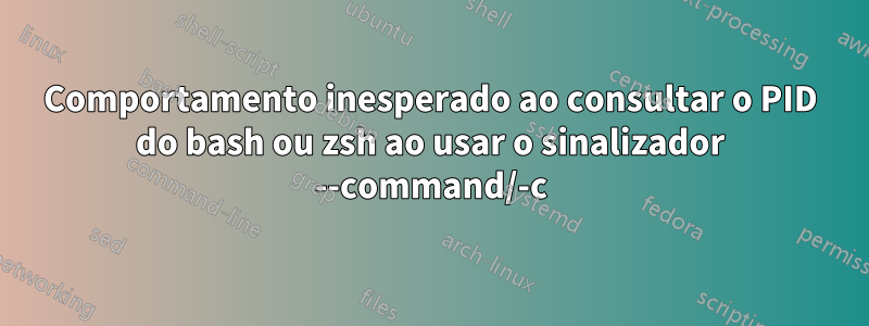 Comportamento inesperado ao consultar o PID do bash ou zsh ao usar o sinalizador --command/-c