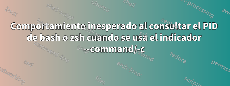 Comportamiento inesperado al consultar el PID de bash o zsh cuando se usa el indicador --command/-c