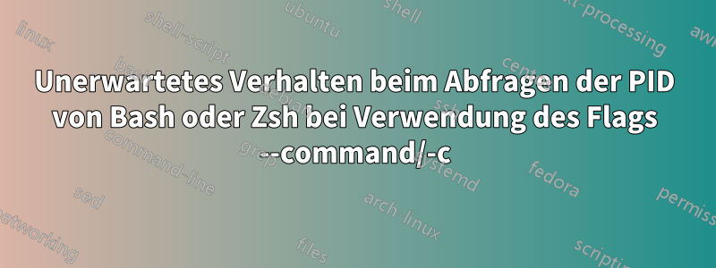 Unerwartetes Verhalten beim Abfragen der PID von Bash oder Zsh bei Verwendung des Flags --command/-c