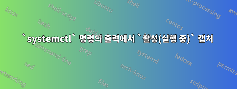 `systemctl` 명령의 출력에서 ​​`활성(실행 중)` 캡처