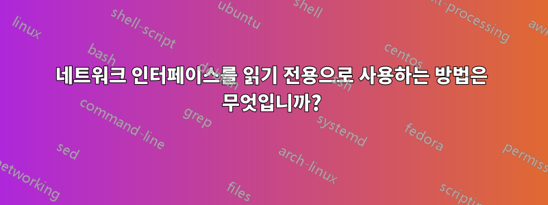 네트워크 인터페이스를 읽기 전용으로 사용하는 방법은 무엇입니까?