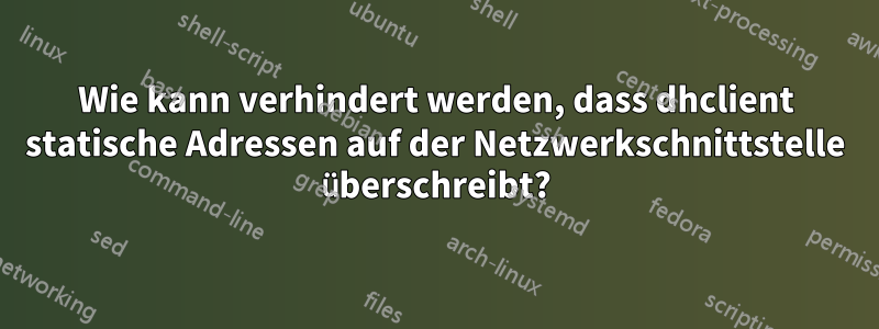 Wie kann verhindert werden, dass dhclient statische Adressen auf der Netzwerkschnittstelle überschreibt?