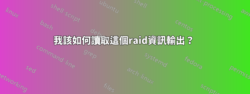 我該如何讀取這個raid資訊輸出？